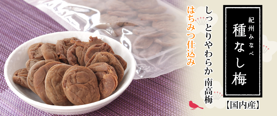 種なし梅 干し梅 国内産 梅肉エキス専門店 紀州梅蔵 種なし梅 干し梅 国内産 梅肉エキス専門店 紀州梅蔵