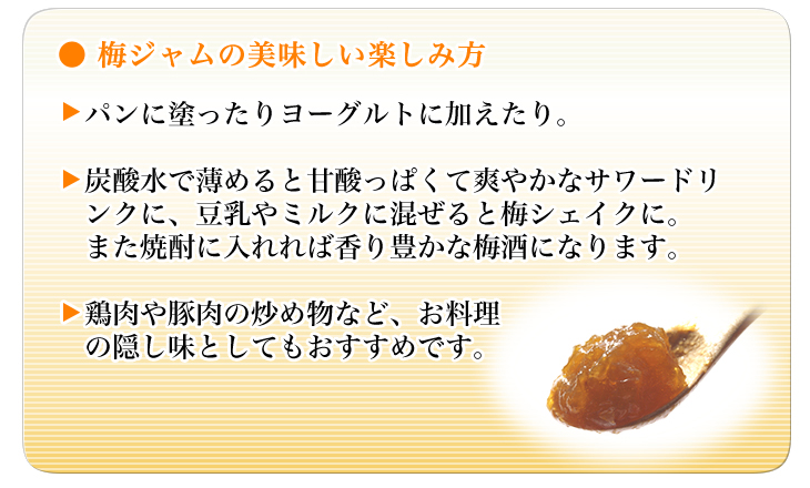 紀州完熟梅 梅でジャム【包装不可】